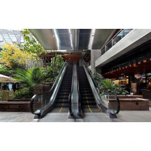 800mm Aluminium Step Vvvf Escalator with High Quality